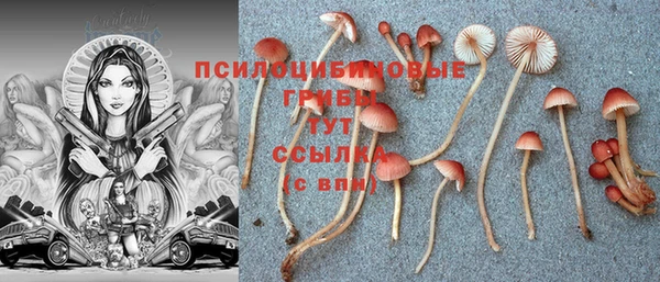 мяу мяу кристалл Аркадак