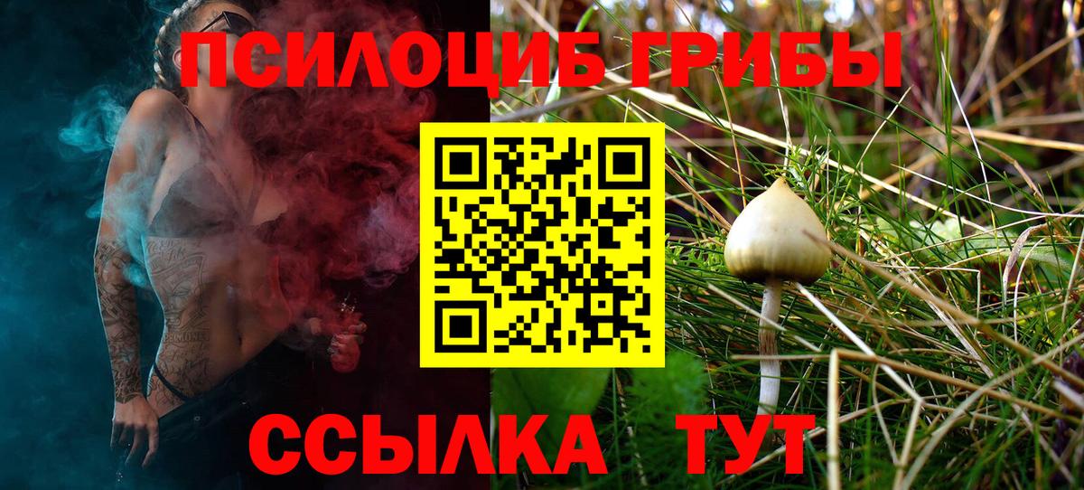 Дмитров  Галлюциногенные грибы Psilocybe  Псилоцибиновые грибы мицелий  Вход с VPN 