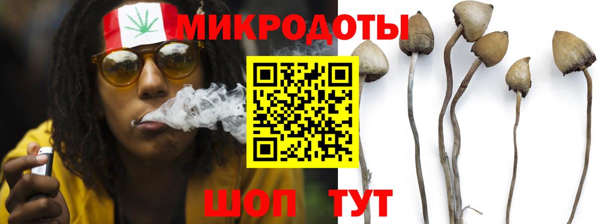 Псилоцибиновые грибы MAGIC MUSHROOMS Дмитров